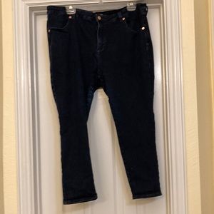 Universal Standard Skinny Jeans 20 Petite